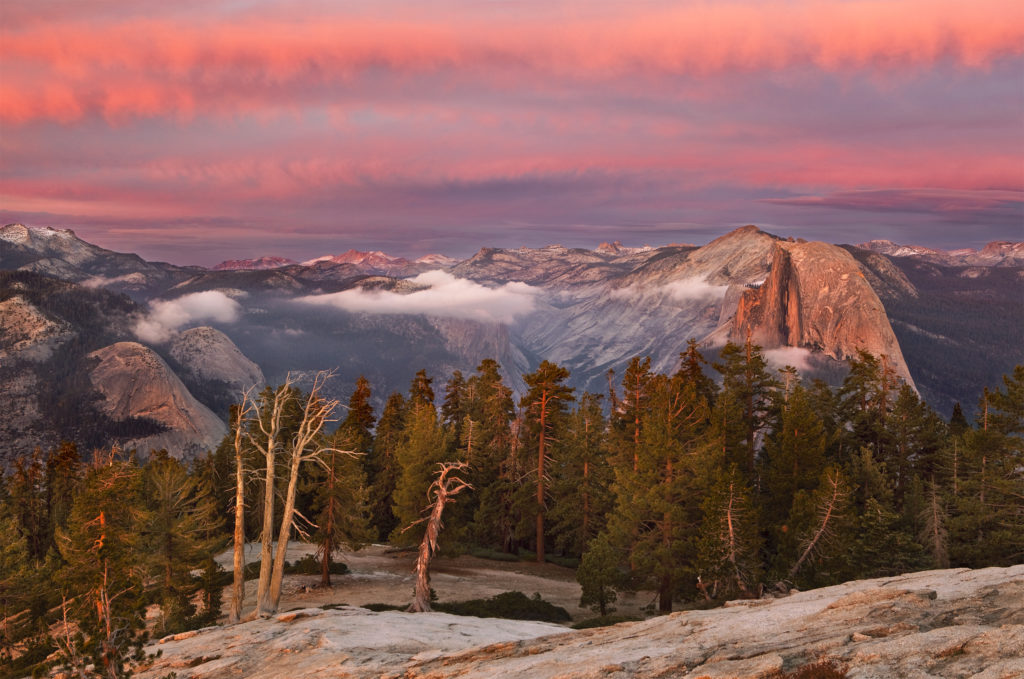 The Perfect Tabletop Hike Review of “The Nature of Yosemite A Visual