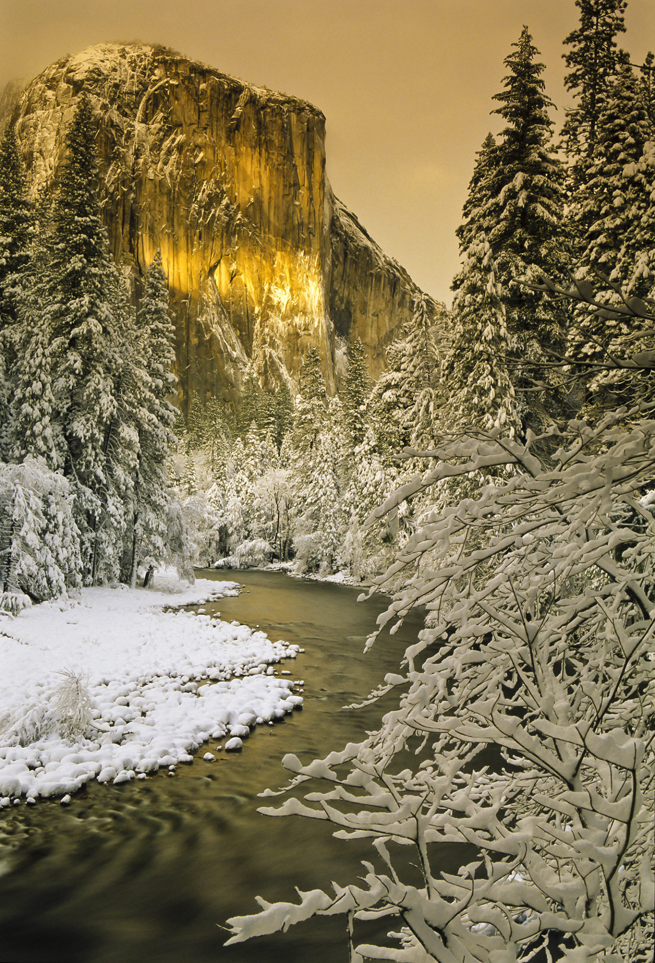 The Perfect Tabletop Hike Review of “The Nature of Yosemite A Visual