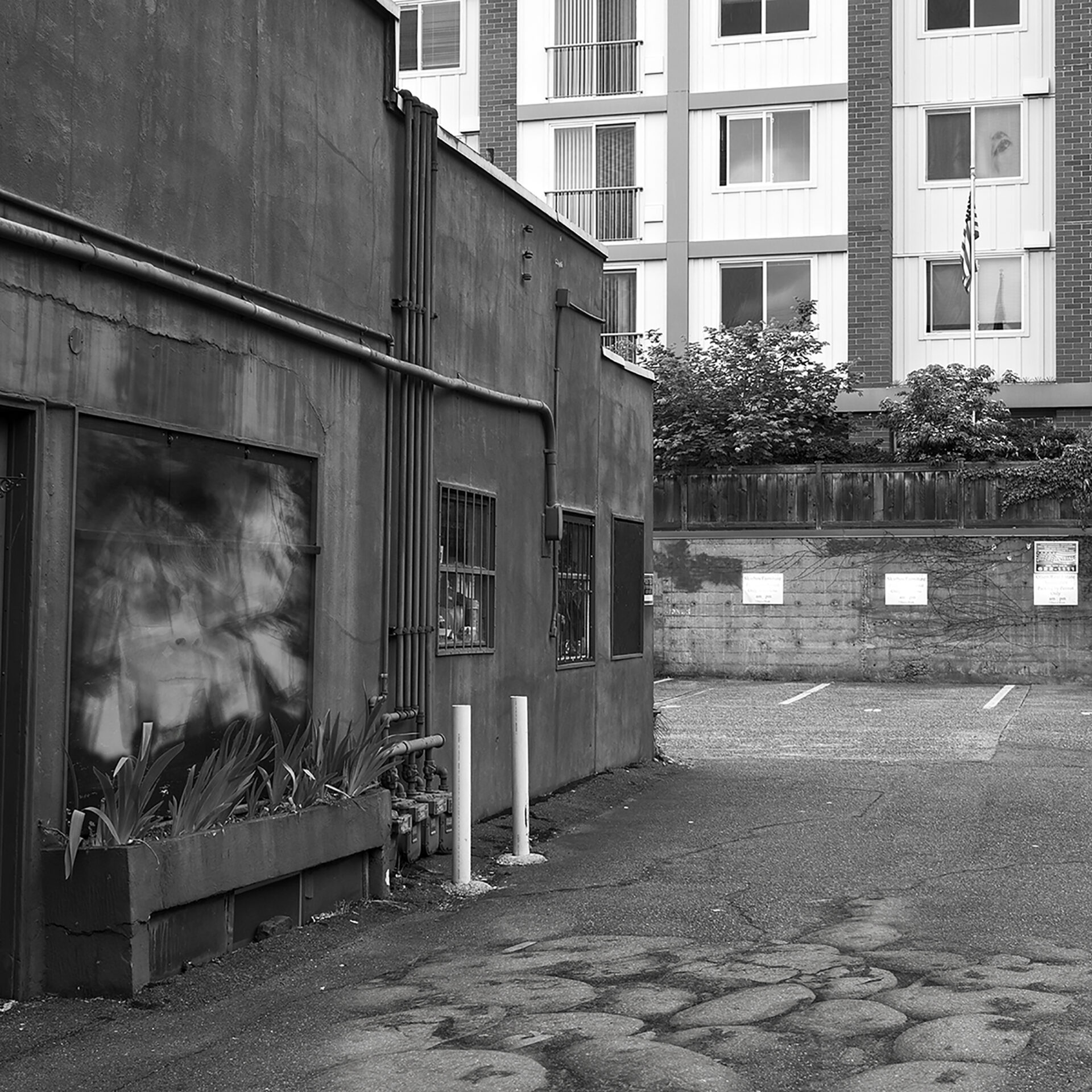 FRAMES Photography Podcast with Susan Gans FRAMES Magazine