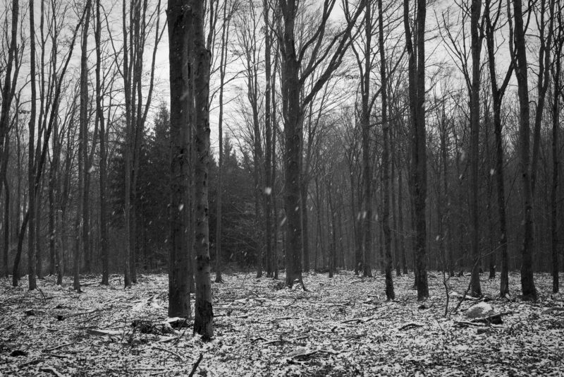 untitled-by-viktor-machek-frames